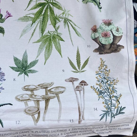 Trippy Botanicals Illustrated Tapestry Urban Outfitters wall hanging - Picture 6 of 9